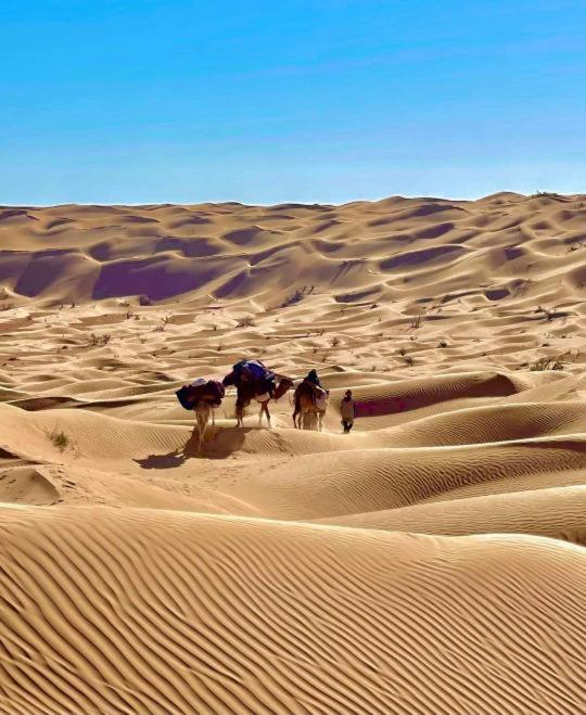 Grand Sud, La Maison De Sable Douz Εξωτερικό φωτογραφία