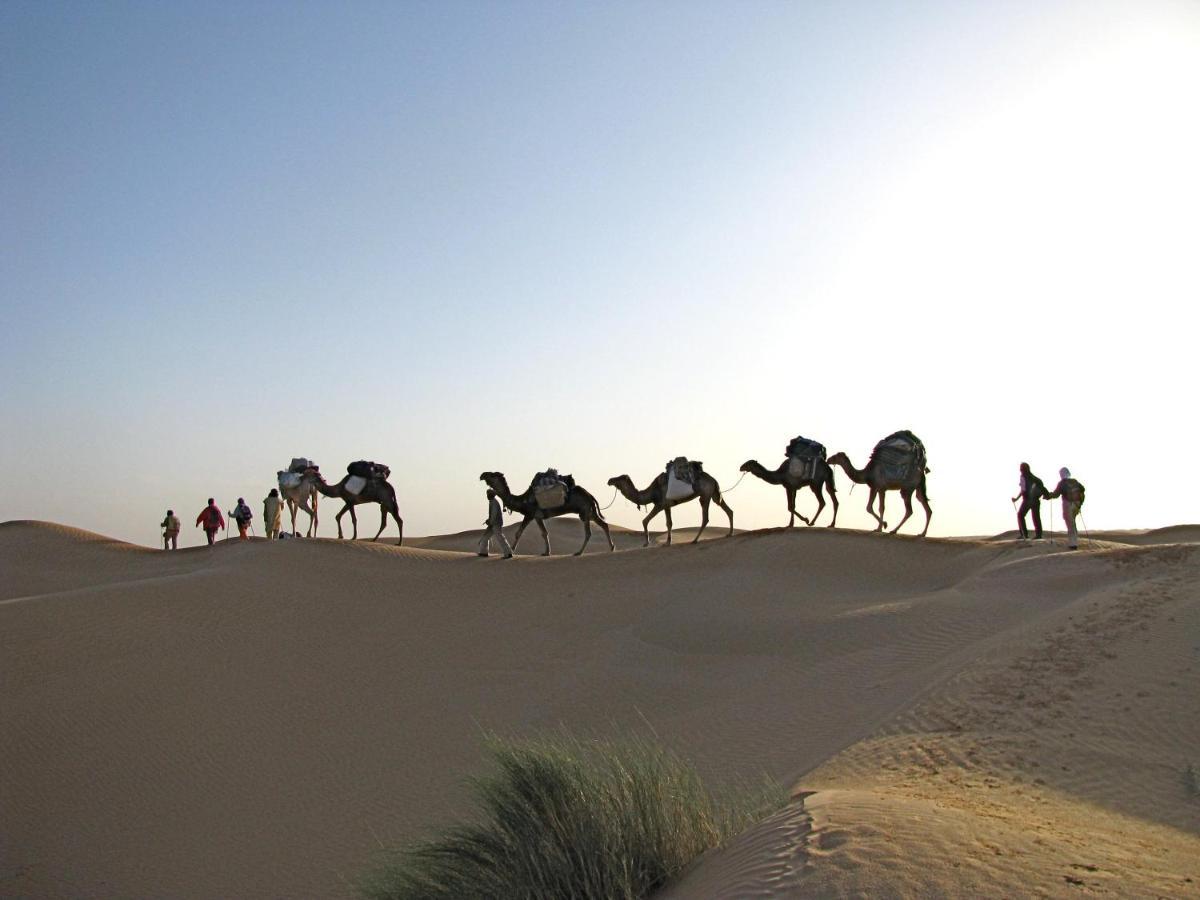 Grand Sud, La Maison De Sable Douz Εξωτερικό φωτογραφία