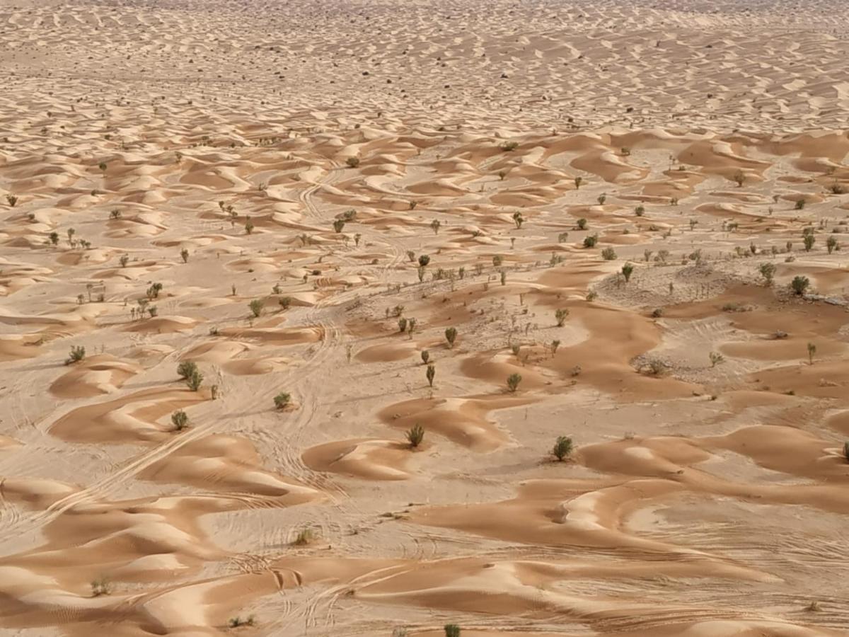 Grand Sud, La Maison De Sable Douz Εξωτερικό φωτογραφία
