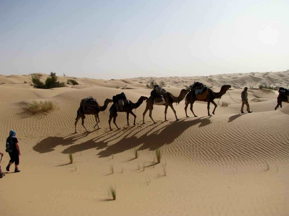 Grand Sud, La Maison De Sable Douz Εξωτερικό φωτογραφία